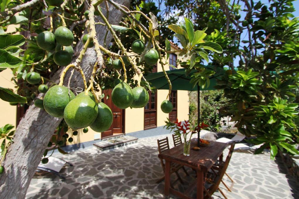Casa Rural Los Aromos - Wunderschönes Landhaus mit Meerblick Hermigua Exterior foto