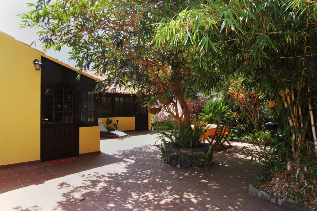 Casa Rural Los Aromos - Wunderschönes Landhaus mit Meerblick Hermigua Exterior foto